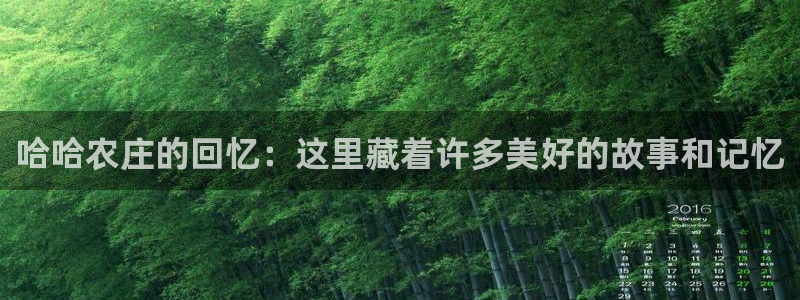 天辰娱乐游戏平台怎么样