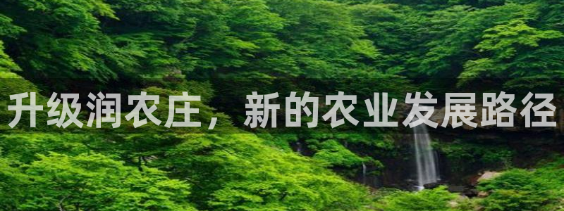 天辰娱乐平台地址在哪里