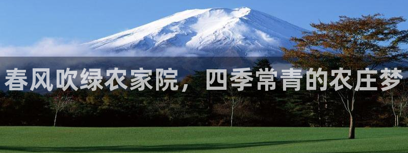 天辰娱乐APP下载