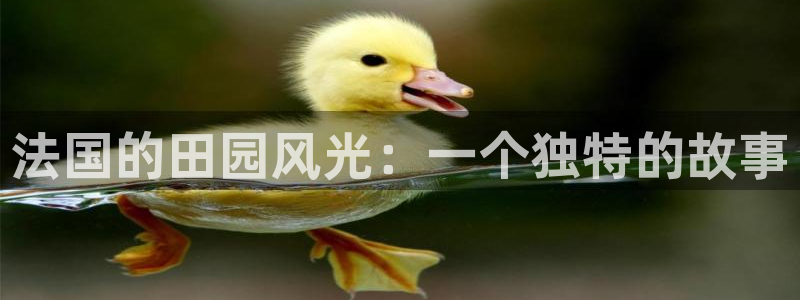 天辰娱乐平台app下载