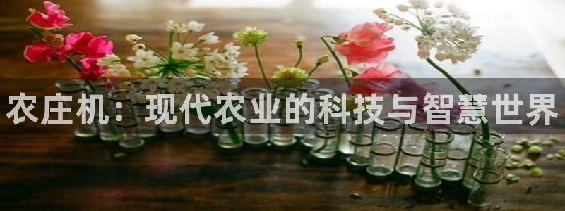 天辰娱乐总管年薪