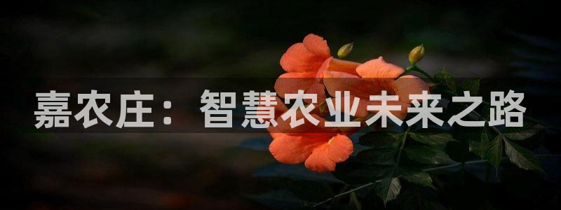 天辰娱乐39974神