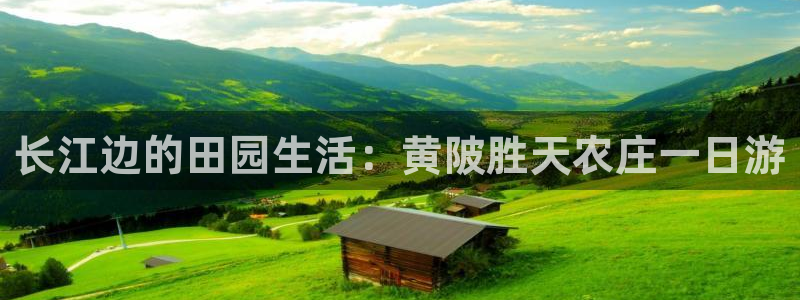 天辰团队贝高娱乐