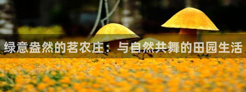 天辰娱乐平台地址在哪里