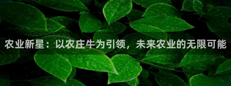 天辰娱乐 天辰平台