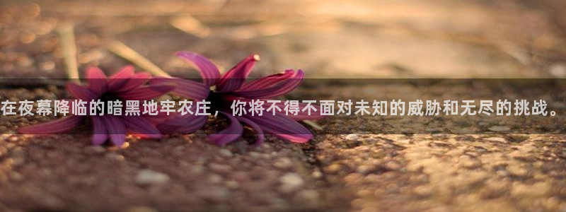 天辰娱乐官网平台入口