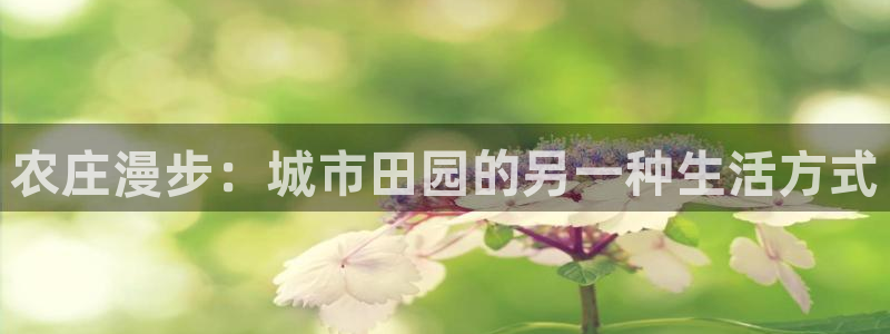 天辰娱乐登陆