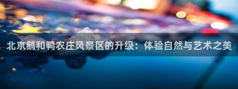 天辰宝宝娱乐