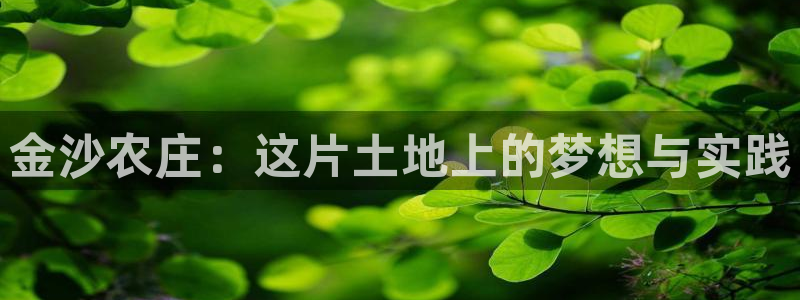 天辰娱乐说
