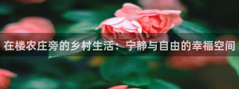 天辰娱乐传媒