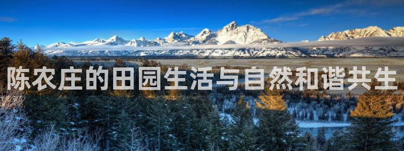 深圳天辰娱乐