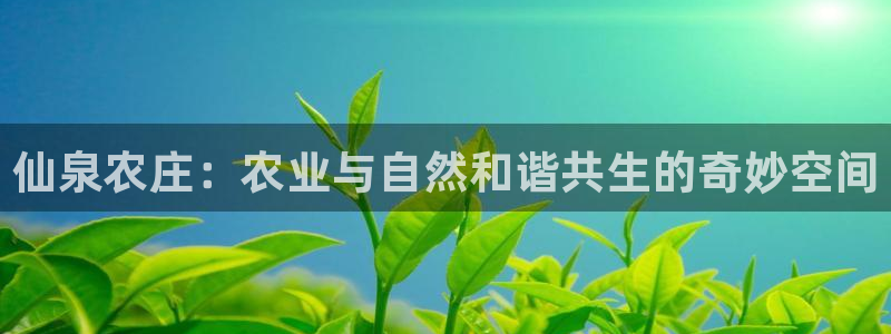 天辰娱乐_675138