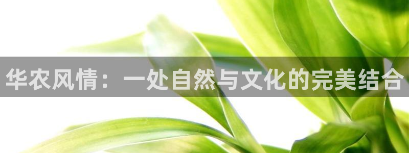 天辰娱乐棋牌