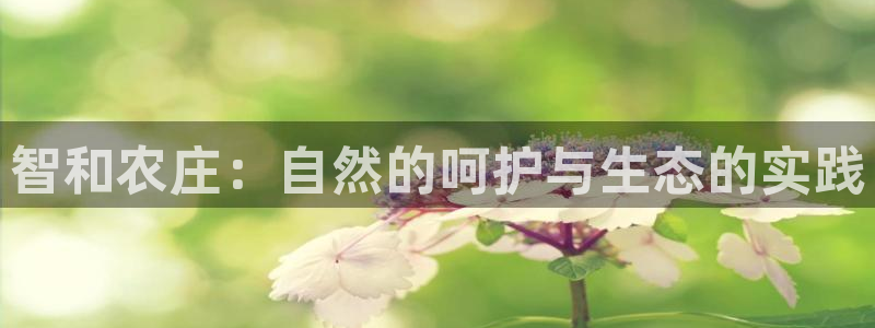 天辰娱乐 主管