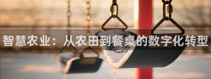 天辰娱乐地址