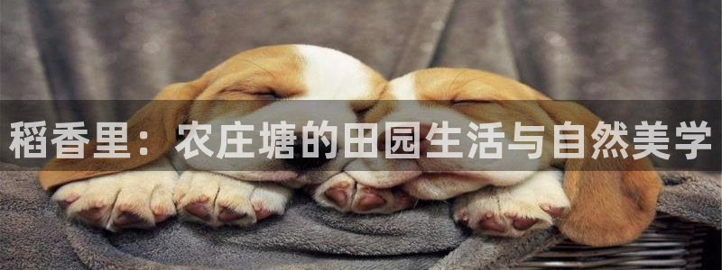 天辰娱乐2