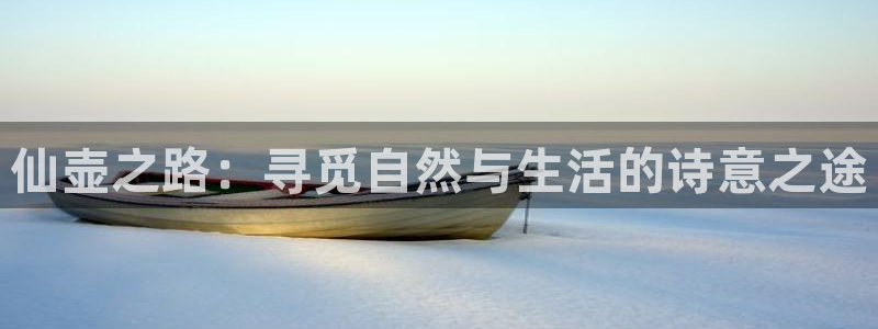 天辰娱乐1996
