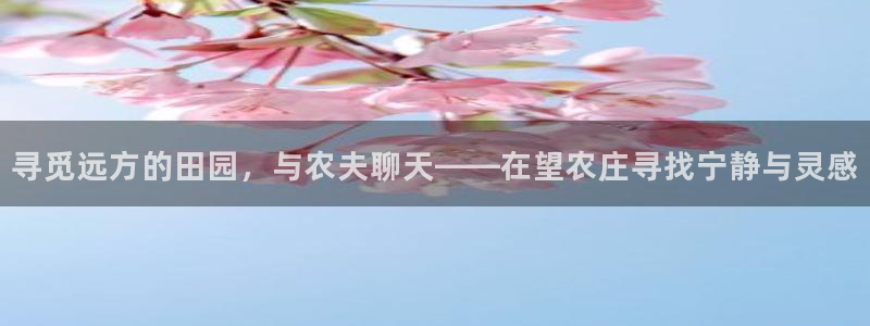 天辰宝宝娱乐