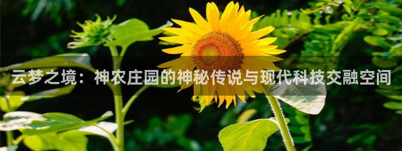 天辰娱乐44616