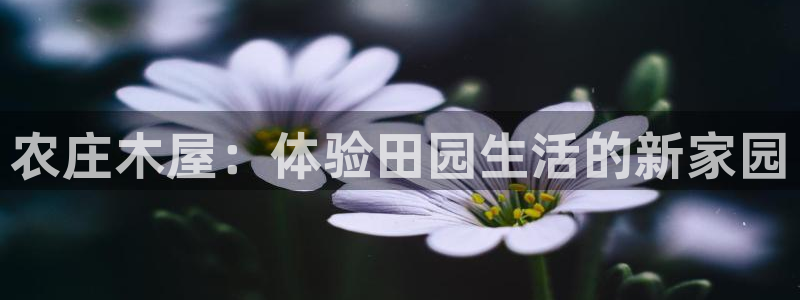 天辰娱乐网
