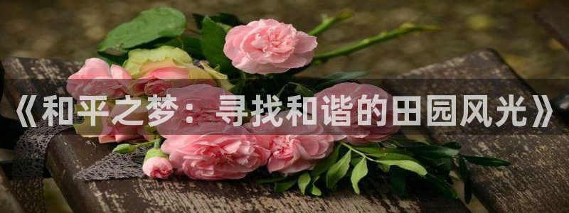 天辰a娱乐