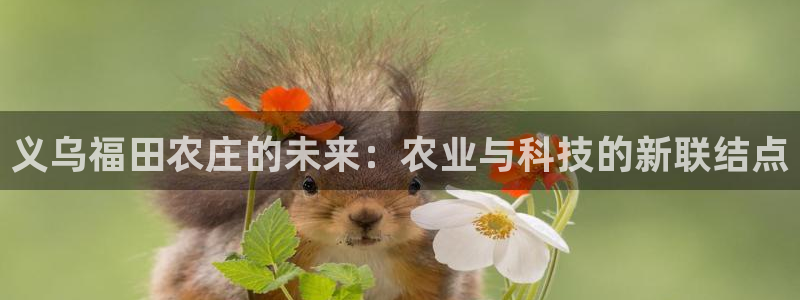 天辰娱乐总管年薪